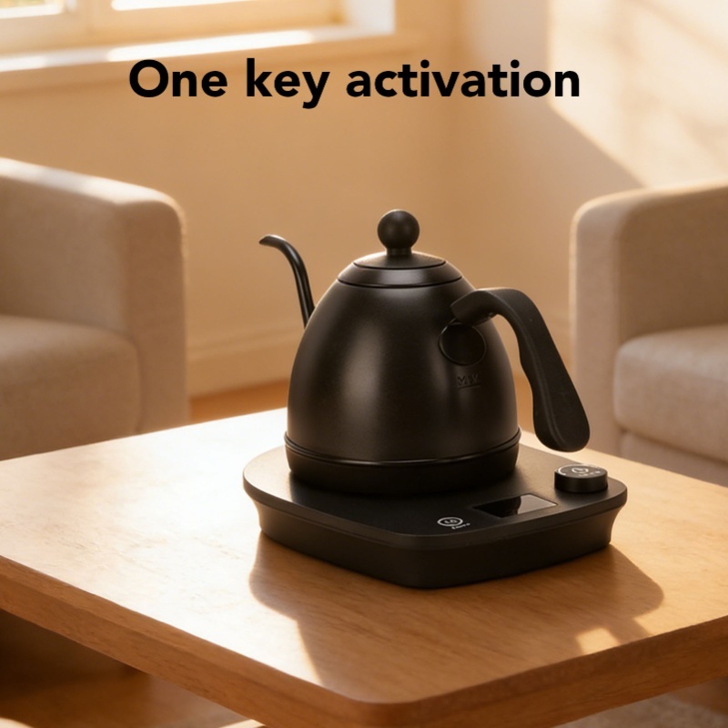 1000W Electric Gooseneck Kettl - огляд і ціна Pour Over Kettle